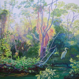 Цапля (из цикла "Затопленные леса Амазонии")