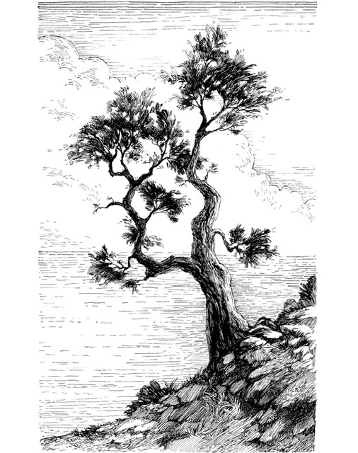 Без названия 