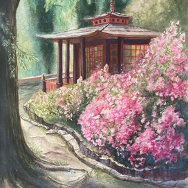 «Розовые облака в японском саду.» Сочи, Парк Дендрарий.