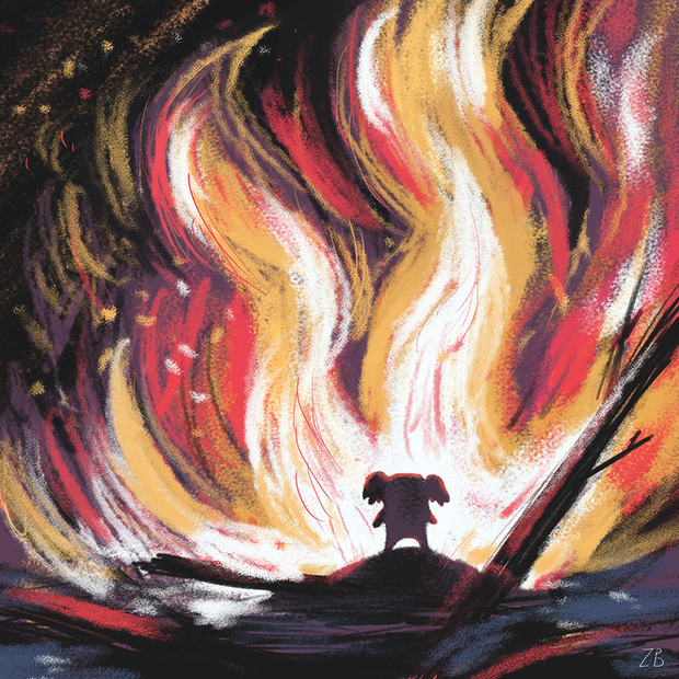 марафон "спасите коал"