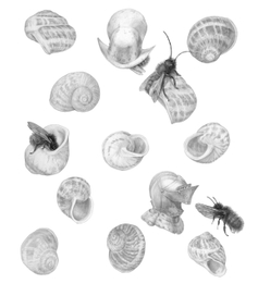 чужая броня