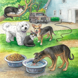 иллюстрации к книге2