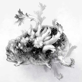 Человек-картошка