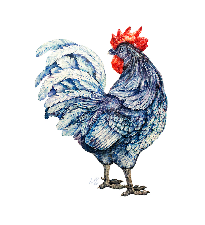 Символ года 2017