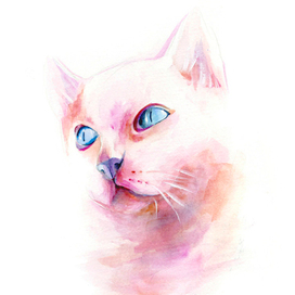 Портрет розового кота