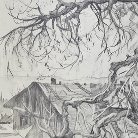 Сквозь ветви