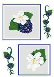 Цветочки и ягодки