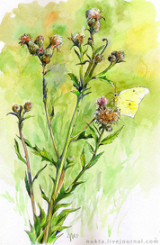 кусочек лета