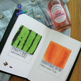 иллюстрация "Арбузы"