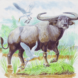 Потревоженная праздность.