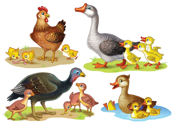 Домашние животные. изд Аверсэв