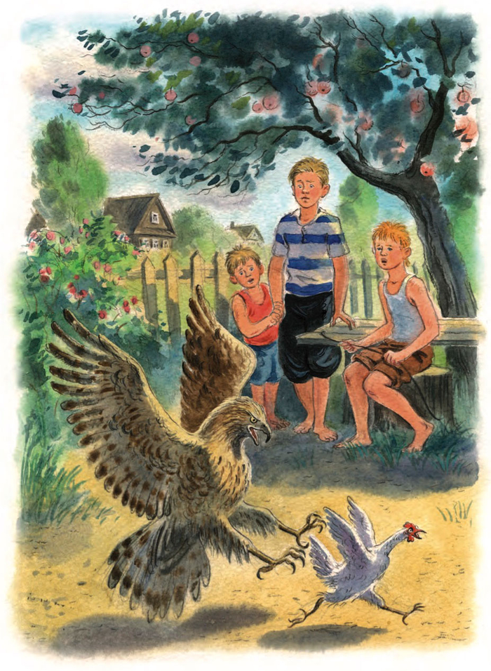 Ястреб и цыпленок