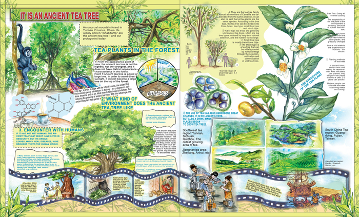 Для китайского издательства