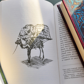 “Личные записки капитана Ричарда Ф. Бертона о паломничестве в Медину и Мекку”, полосная иллюстрация.