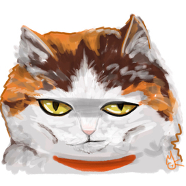 Портрет кошечки 