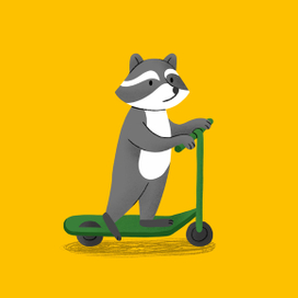 Енот на самокате