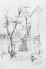 Село у Днестра