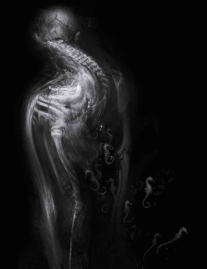 Морской конь