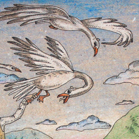 "Из тёплых стран в родовое гнездо". Фрагмент 1