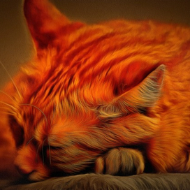 Рыжий кот спит( рисунок по фото)