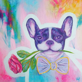 Mr. Dog