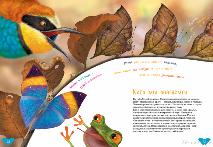 иллюстрация к книге "Я бабочка"