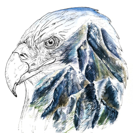 Орёл и горы 