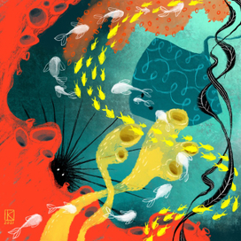 Коралловый риф