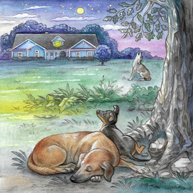 иллюстрации к книге