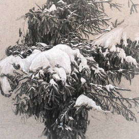 Рисунок ели (фрагмент) 