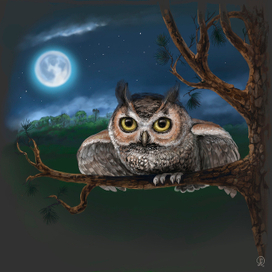 На крыльях ночи