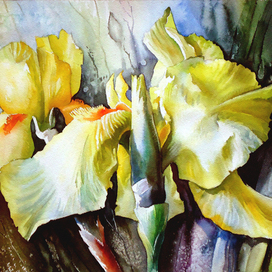 ,,Ирис желтый,,Акварель.