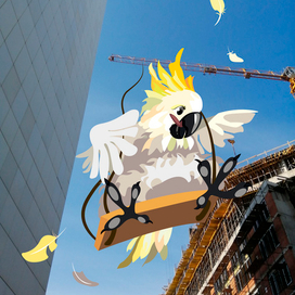 Развлечения Какаду