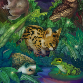 Ночные животные