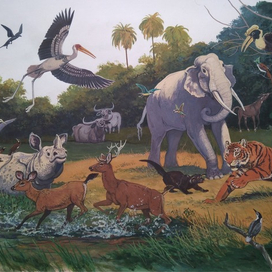 илл. из книги "На поиски животных" (Индия)