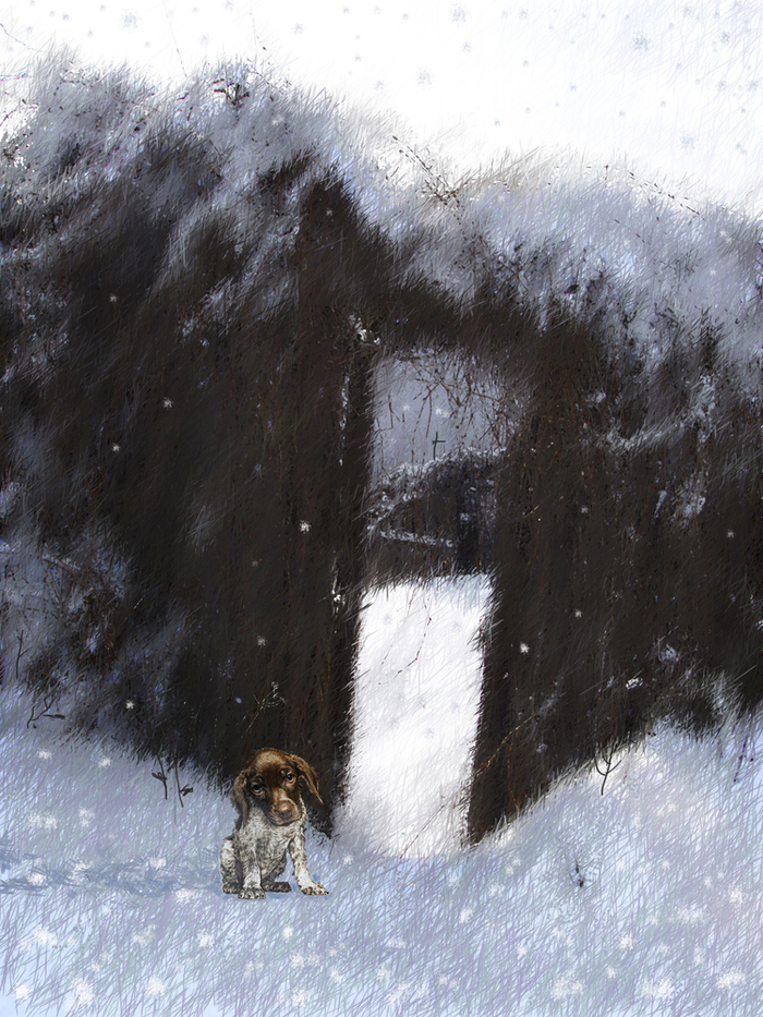 Потерялся...