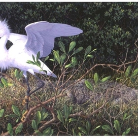 Красавица и Чудовище