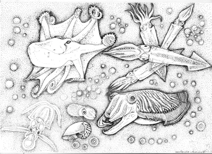 Морские обитатели