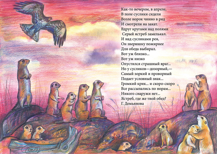 Суслики и закат 