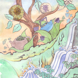 Чайное дерево