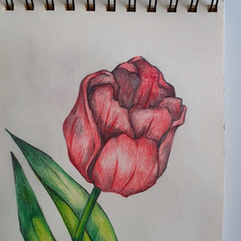 Красный парад 