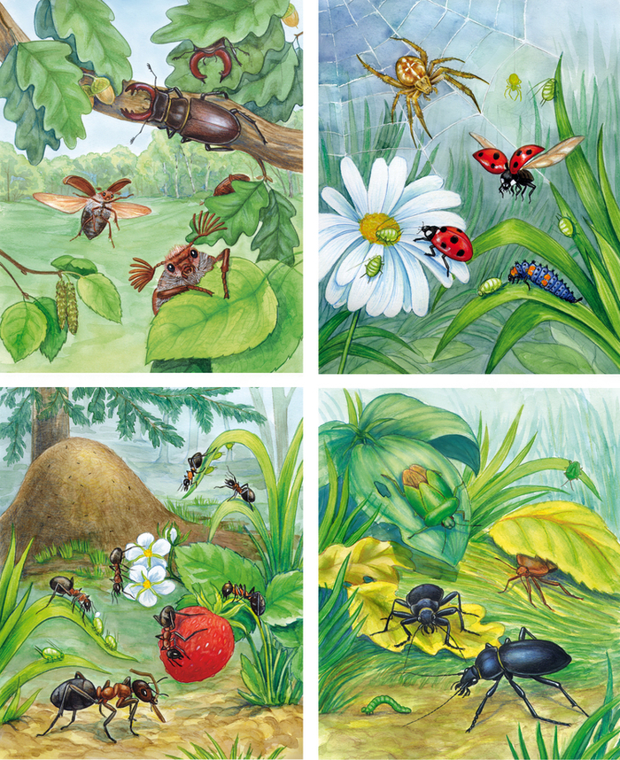 Букашки-таракашки