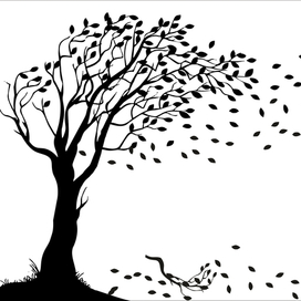 Осенний ветер