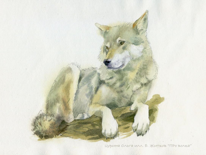 Про волка