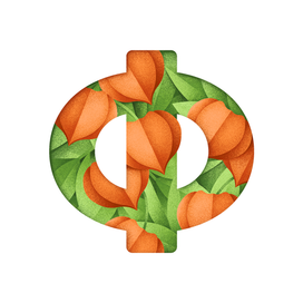 Кириллица 22/33