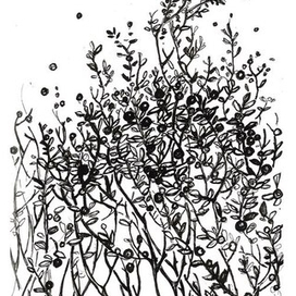 Куст черники