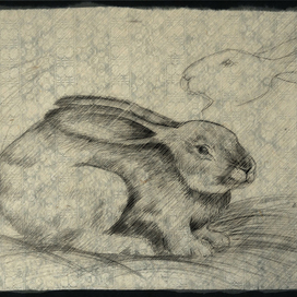 *заказной рисунок / кролик