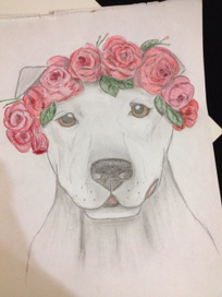 Питбуль в цветах