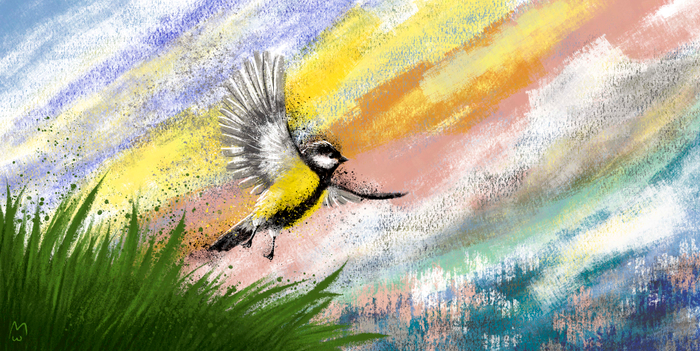 Начало пути