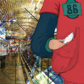 The Curious Incident of the Dog in the Night-Time